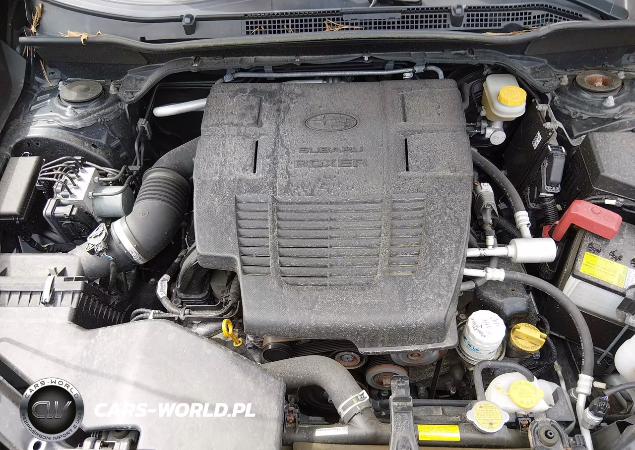 2019 Subaru Forester Limited VIN:JF2SKASC1KH541340 - 10