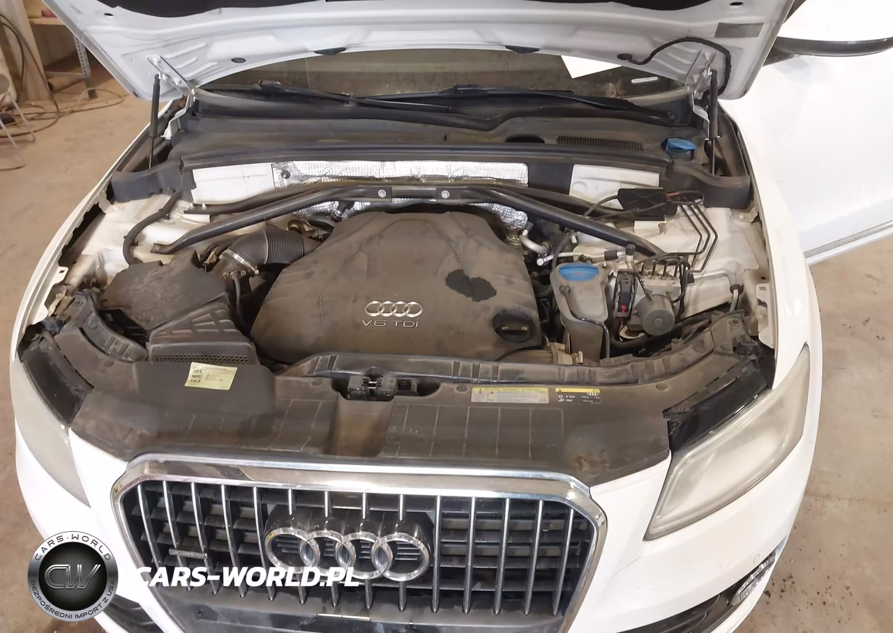2014 Audi Q5 3.0 Tdi Premium Plus VIN:WA1CMAFP9EA064688 - 10