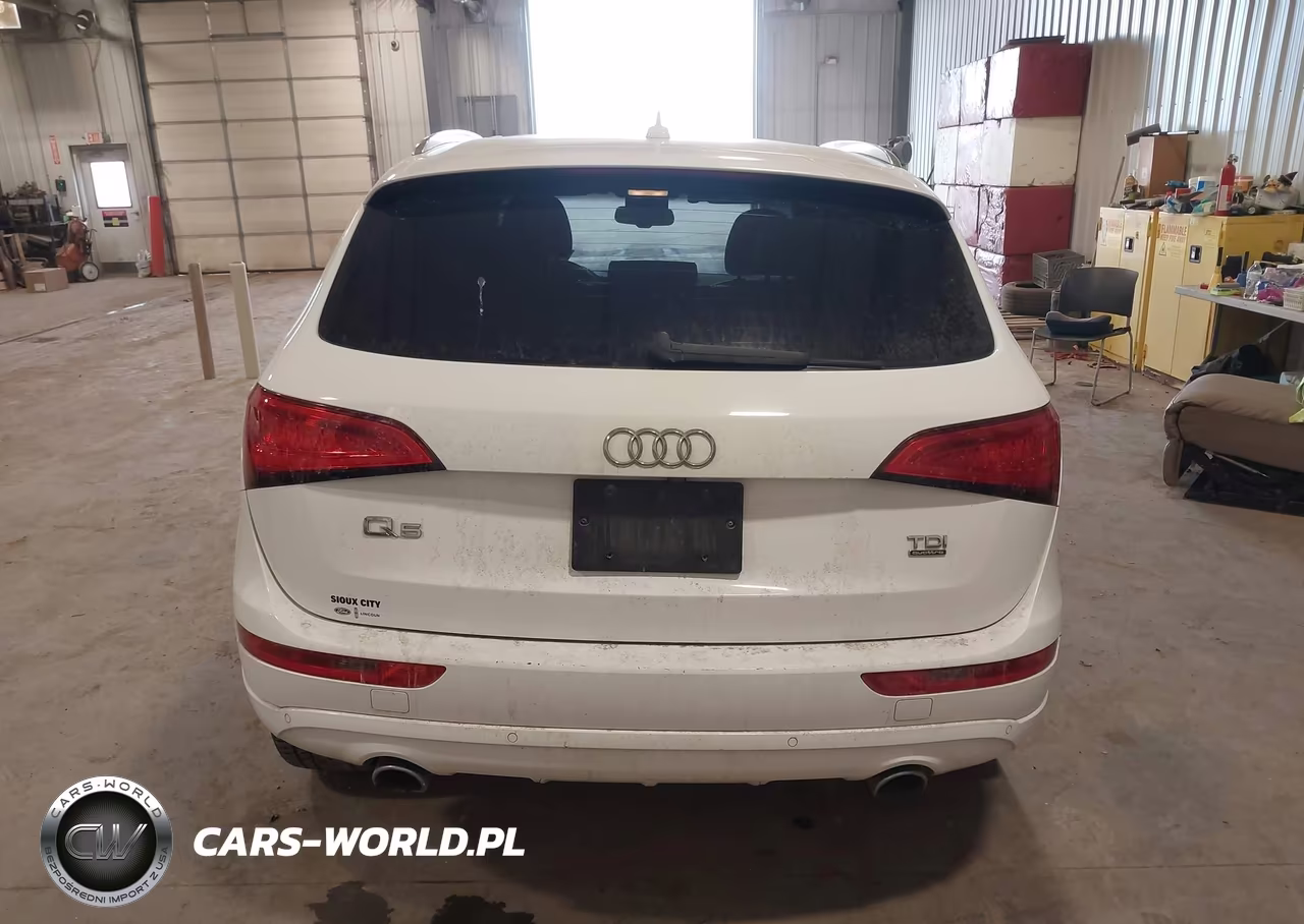 2014 Audi Q5 3.0 Tdi Premium Plus VIN:WA1CMAFP9EA064688 - 16