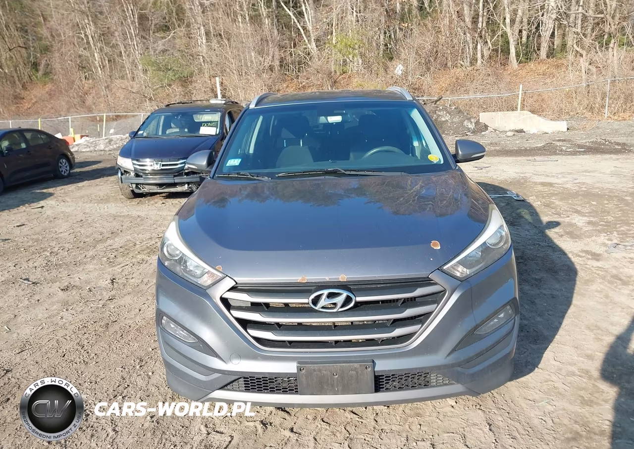 2016 Hyundai Tucson Eco VIN:KM8J3CA2XGU141640 - 12