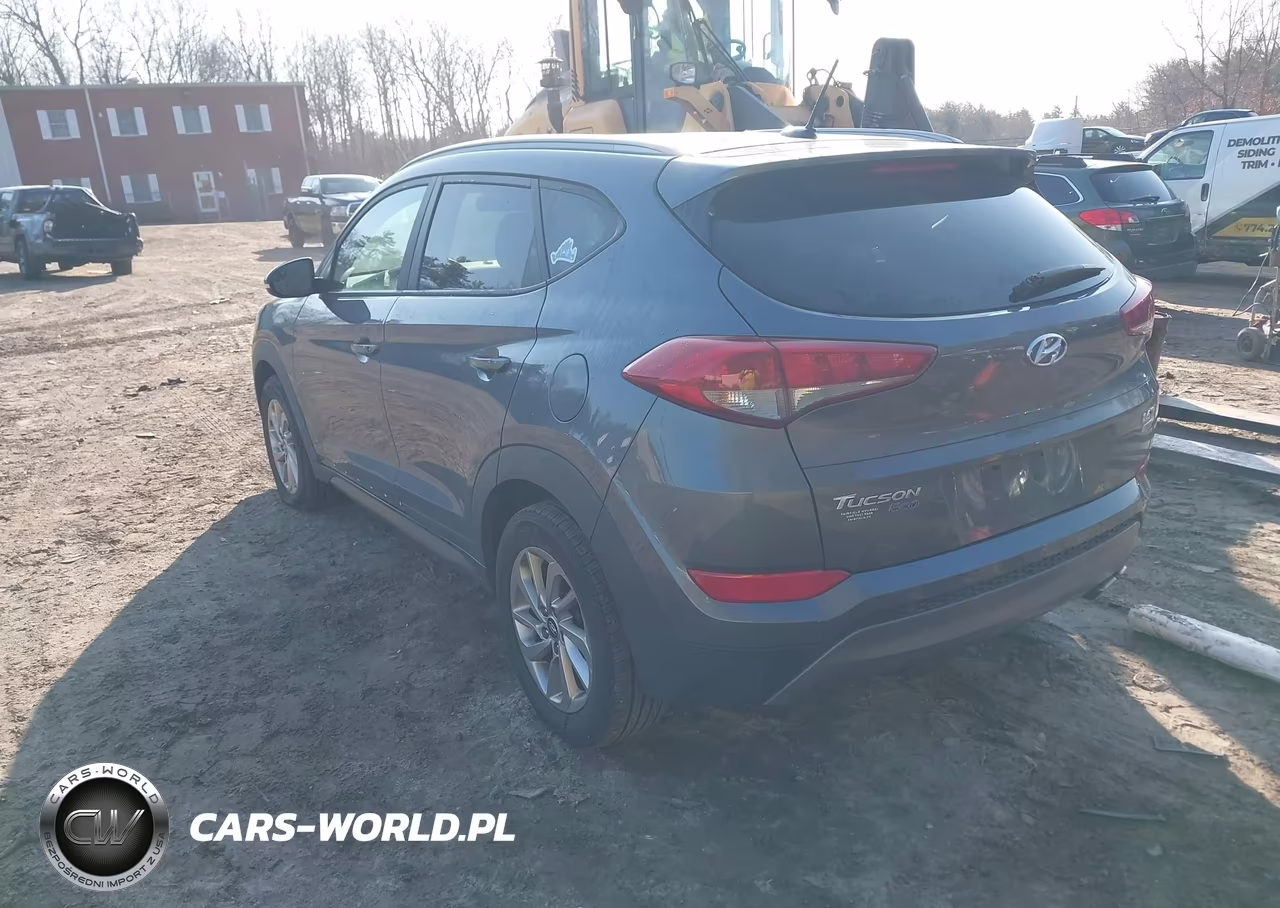 2016 Hyundai Tucson Eco VIN:KM8J3CA2XGU141640 - 3