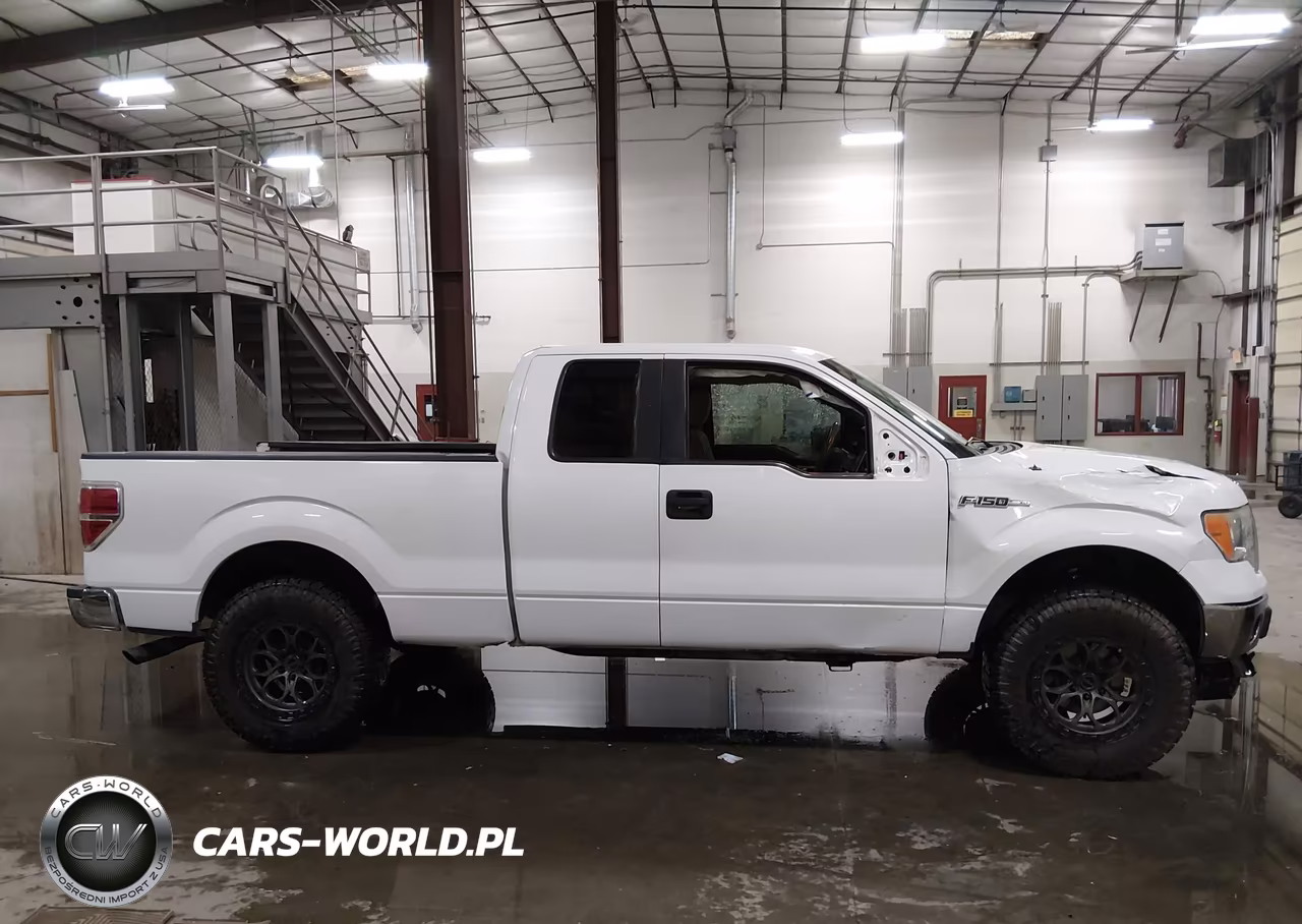 2009 Ford F-150 Xlt VIN:1FTRX12819KB99525 - 14