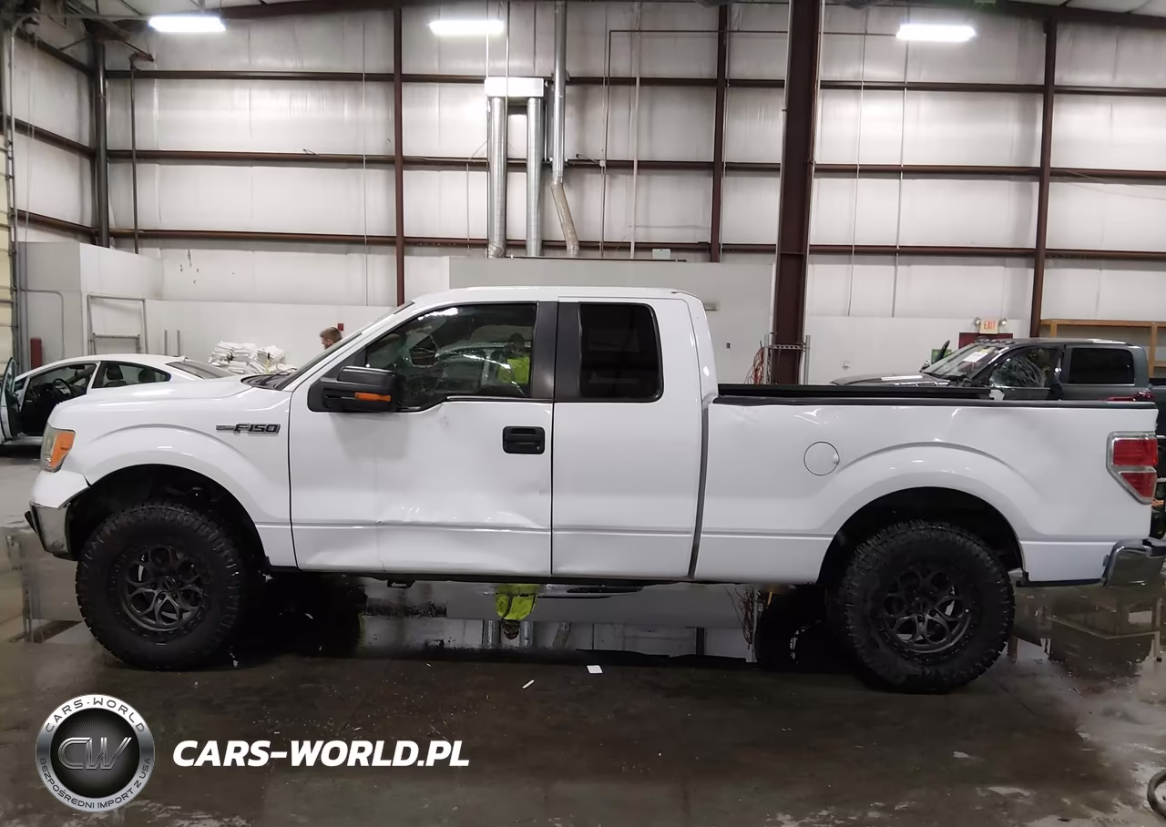 2009 Ford F-150 Xlt VIN:1FTRX12819KB99525 - 15