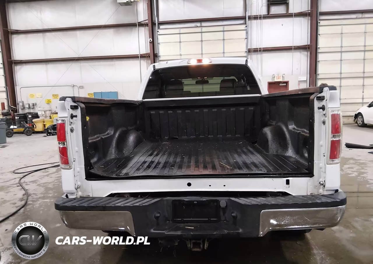 2009 Ford F-150 Xlt VIN:1FTRX12819KB99525 - 17