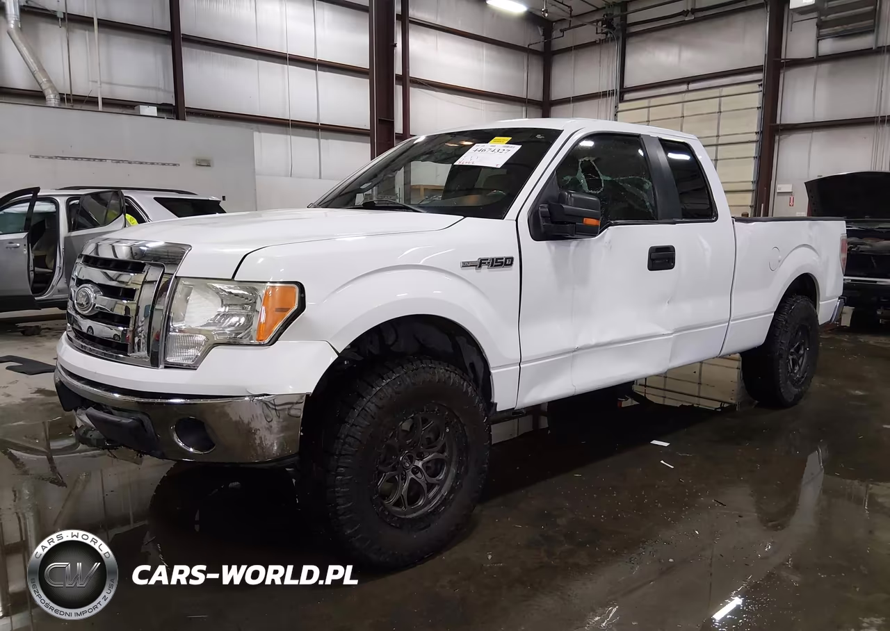 2009 Ford F-150 Xlt VIN:1FTRX12819KB99525 - 2