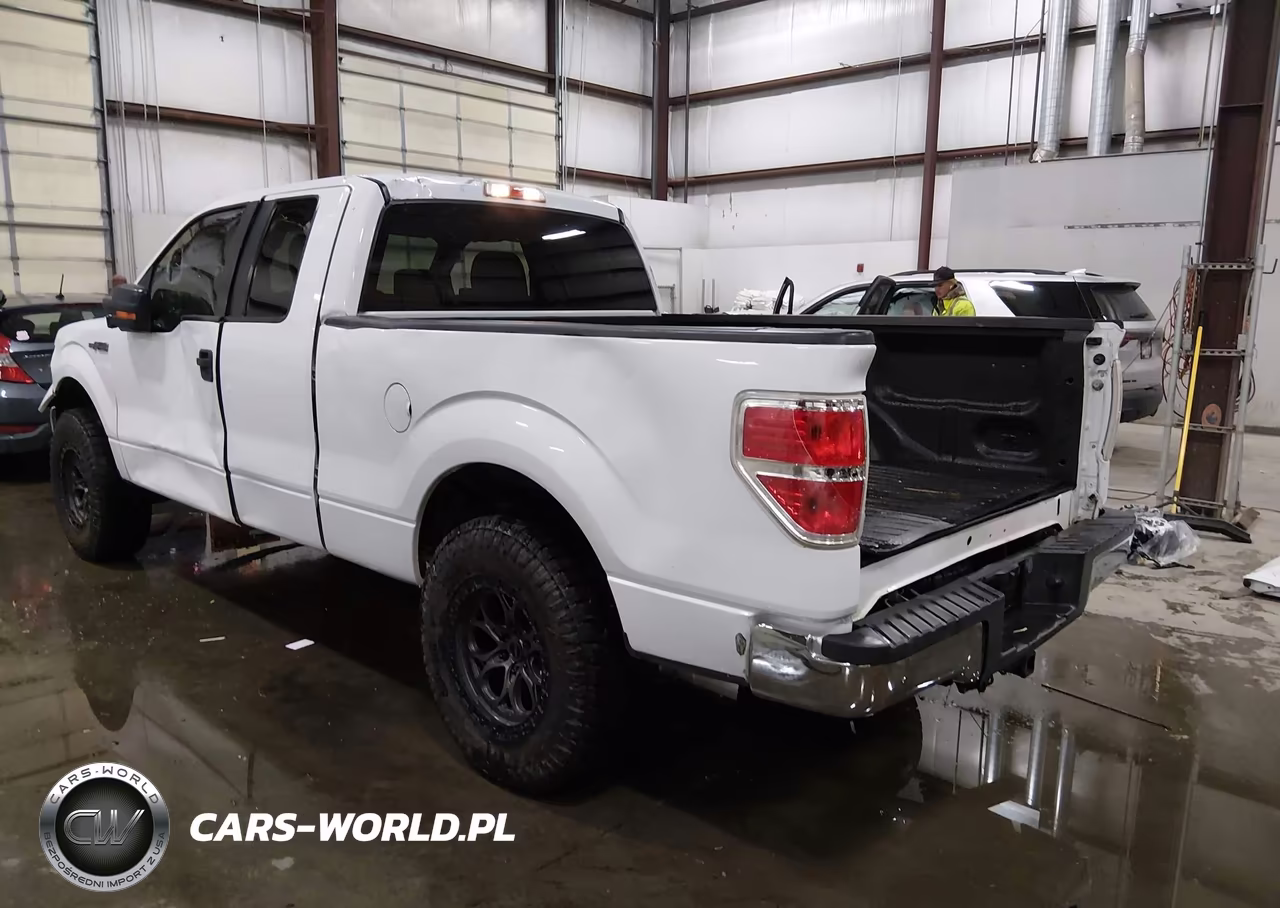 2009 Ford F-150 Xlt VIN:1FTRX12819KB99525 - 3