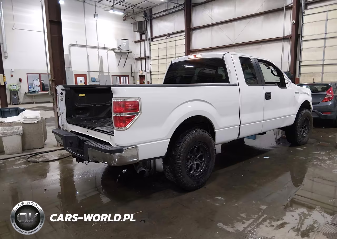 2009 Ford F-150 Xlt VIN:1FTRX12819KB99525 - 4