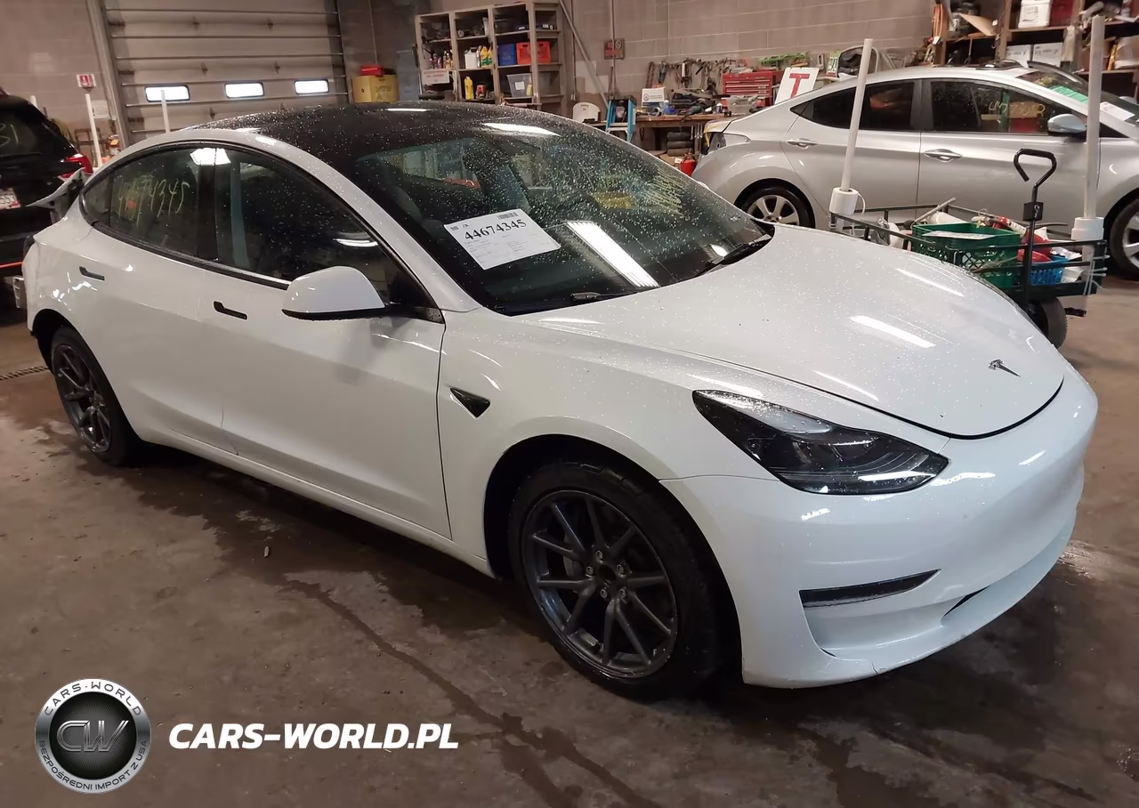 2023 Tesla Model 3 Rear-Wheel Drive