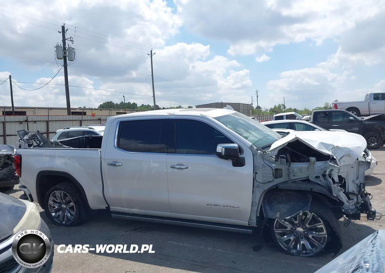 2023 GMC Sierra 1500 4Wd Short Box Denali VIN:3GTUUGEL4PG295336 - 13