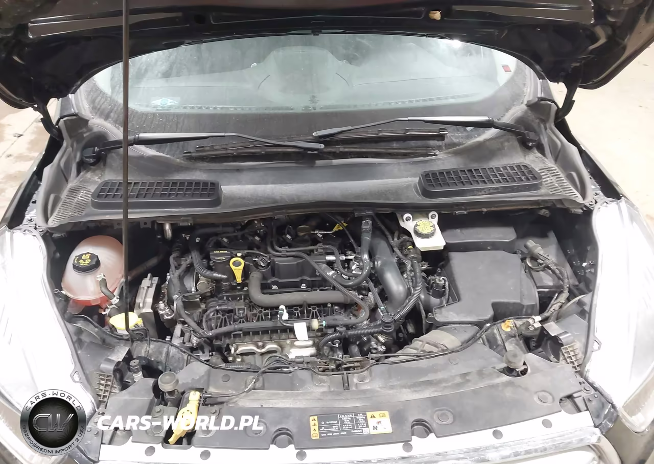 2019 Ford Escape Se VIN:1FMCU9GD4KUA05885 - 10