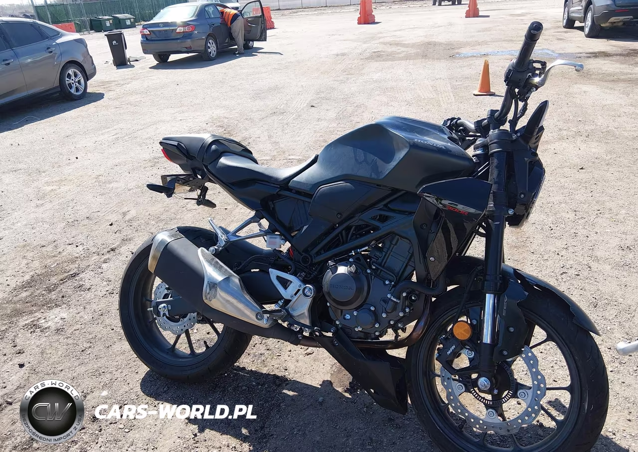 2025 Honda Cbf300 Na