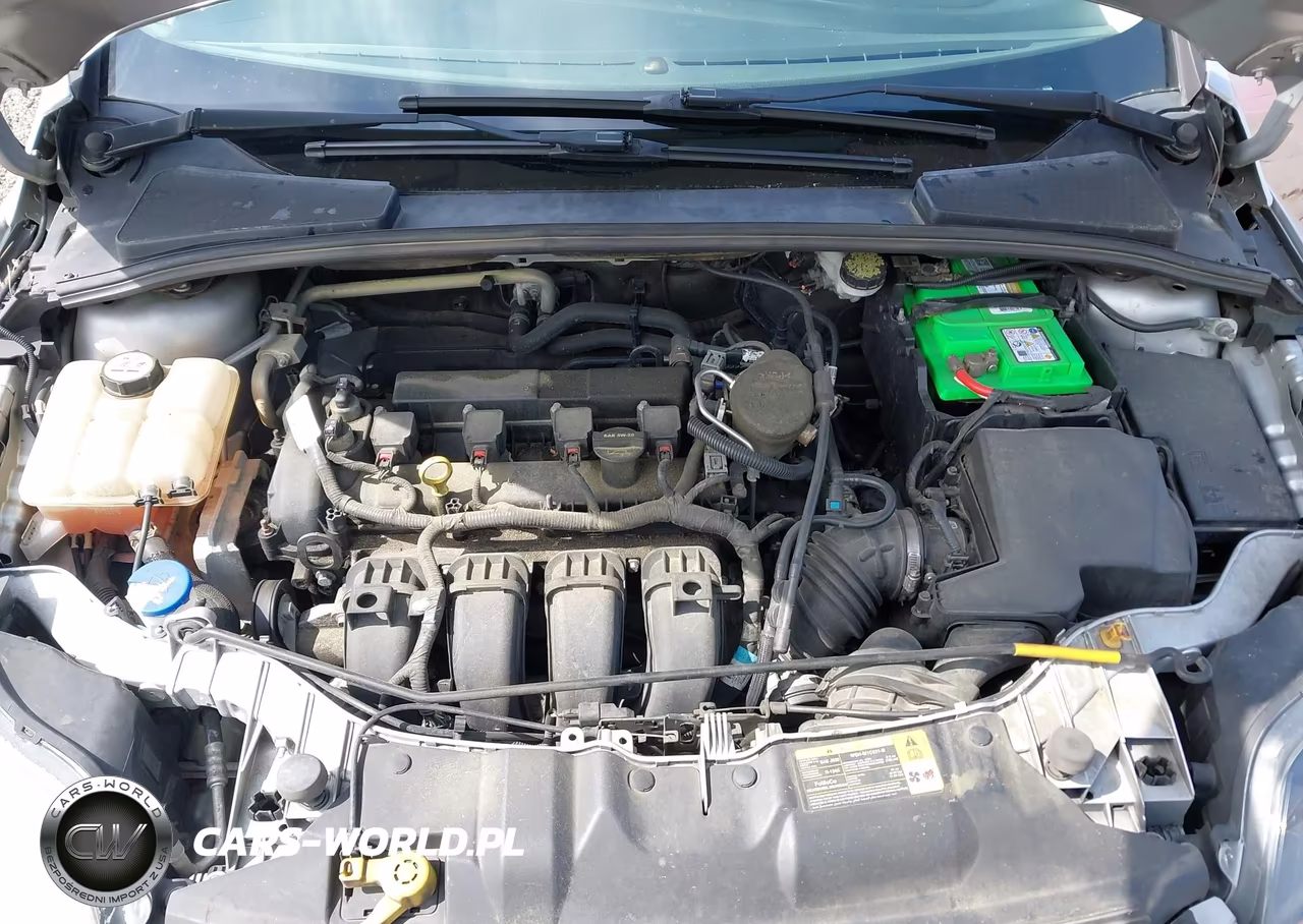 2013 Ford Focus Titanium VIN:1FADP3N2XDL179988 - 10