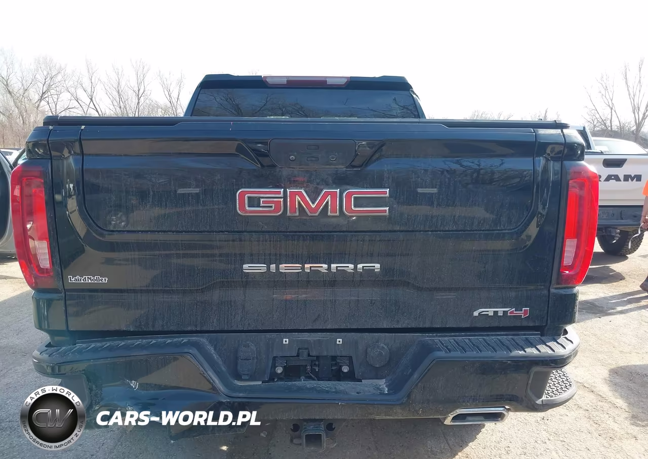2021 GMC Sierra 1500 At4 VIN:1GTU9EETXMZ170861 - 17
