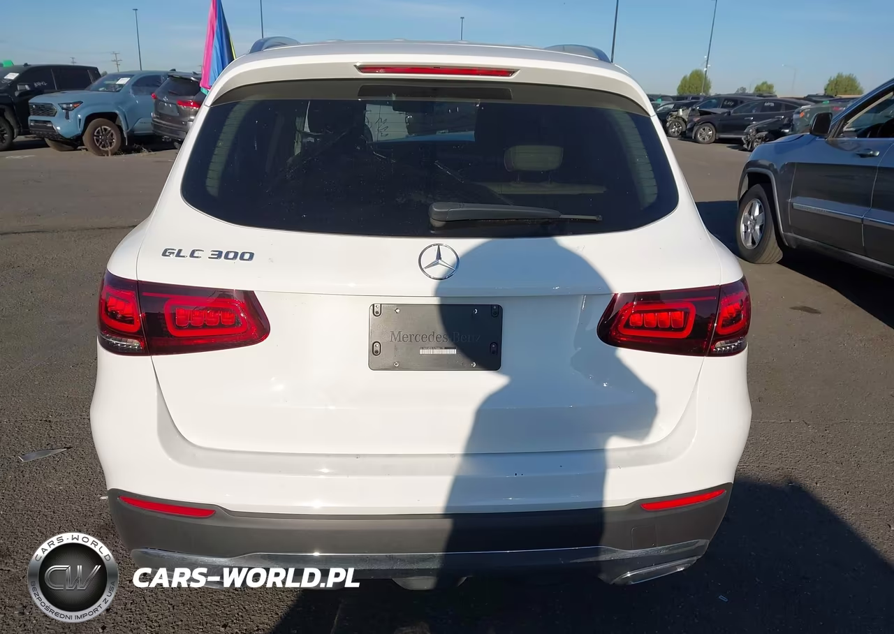 2020 Mercedes-Benz Glc 300 VIN:W1N0G8DB1LF846119 - 17