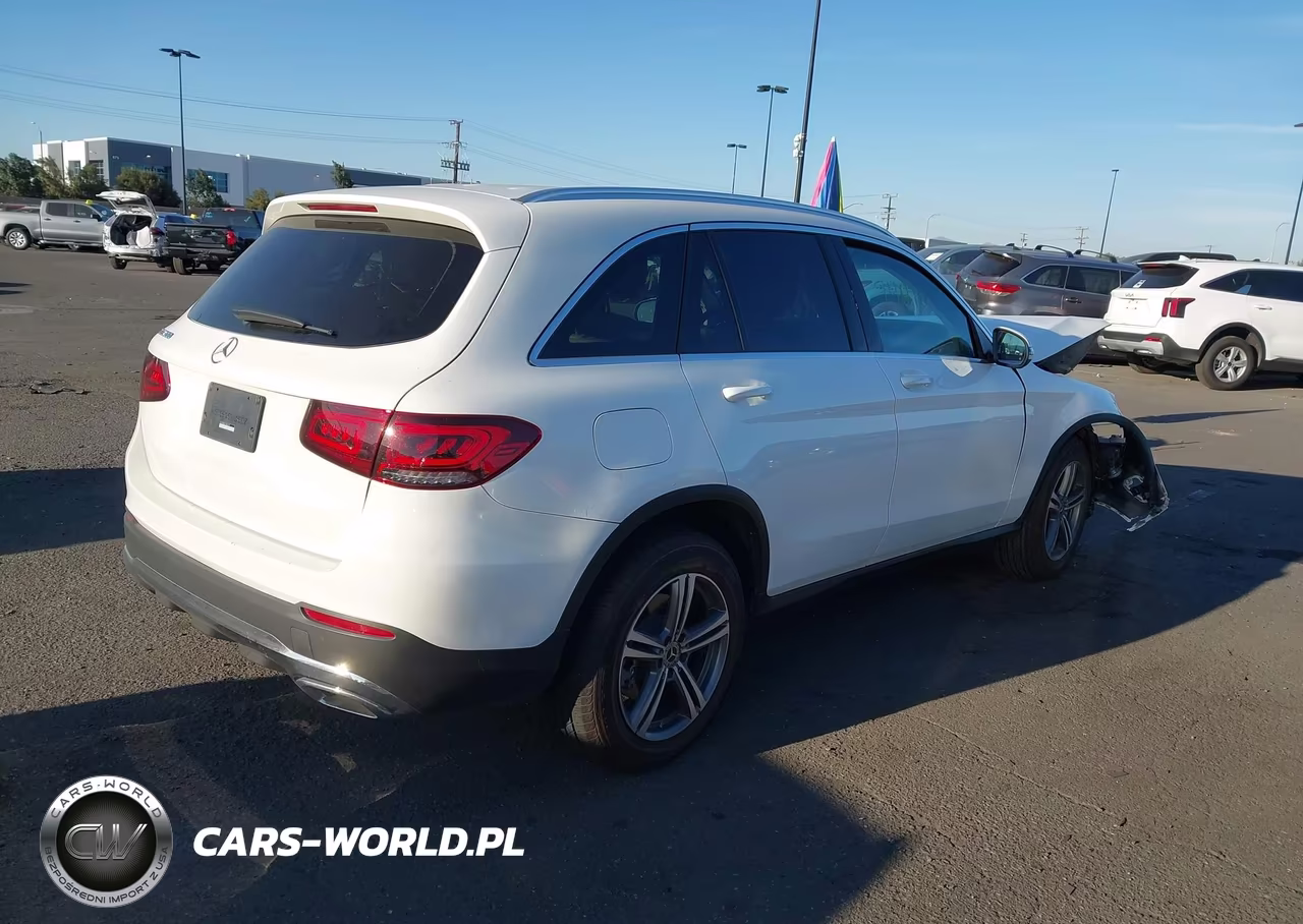 2020 Mercedes-Benz Glc 300 VIN:W1N0G8DB1LF846119 - 4