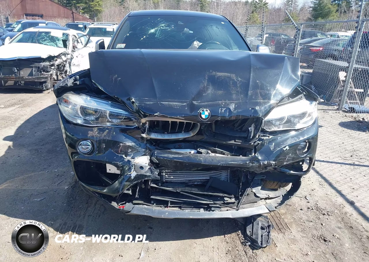 2018 BMW X6 xDrive35I VIN:5UXKU2C5XJ0X49629 - 12