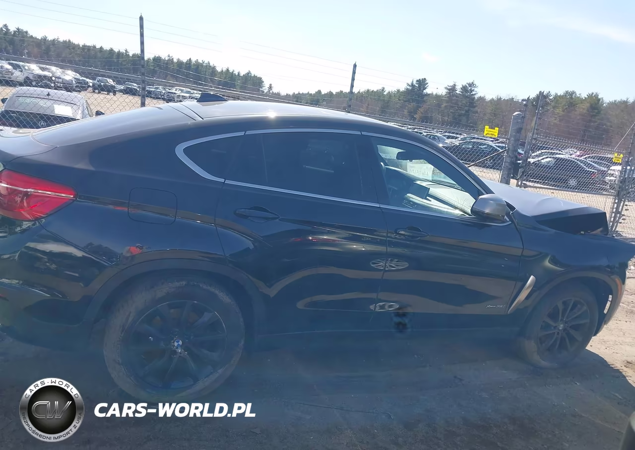 2018 BMW X6 xDrive35I VIN:5UXKU2C5XJ0X49629 - 13