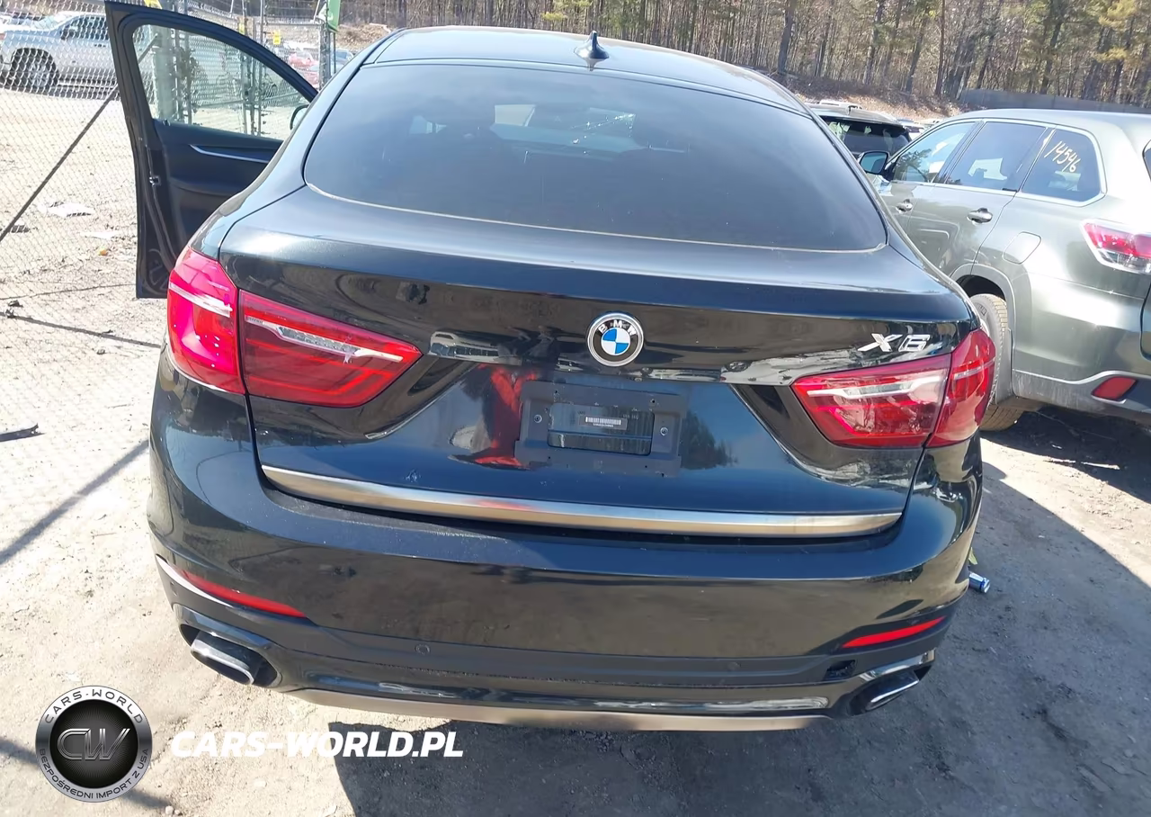2018 BMW X6 xDrive35I VIN:5UXKU2C5XJ0X49629 - 16
