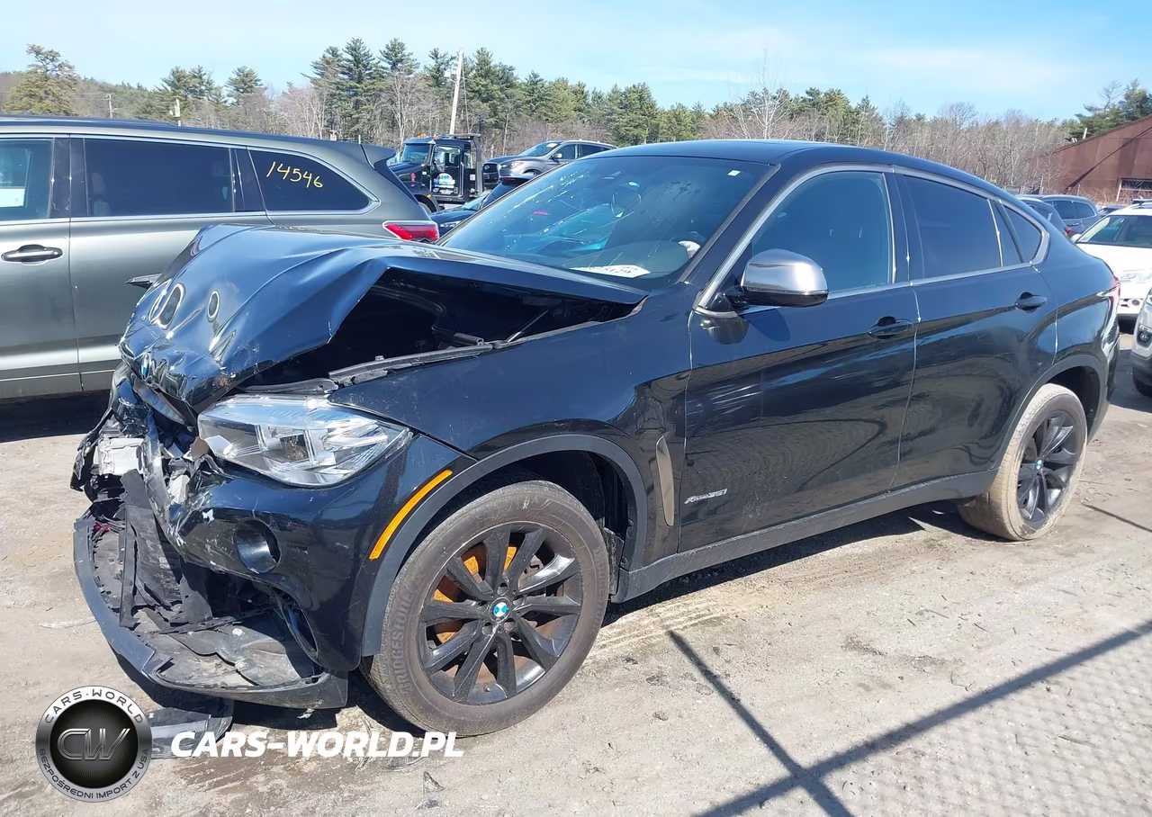 2018 BMW X6 xDrive35I VIN:5UXKU2C5XJ0X49629 - 2