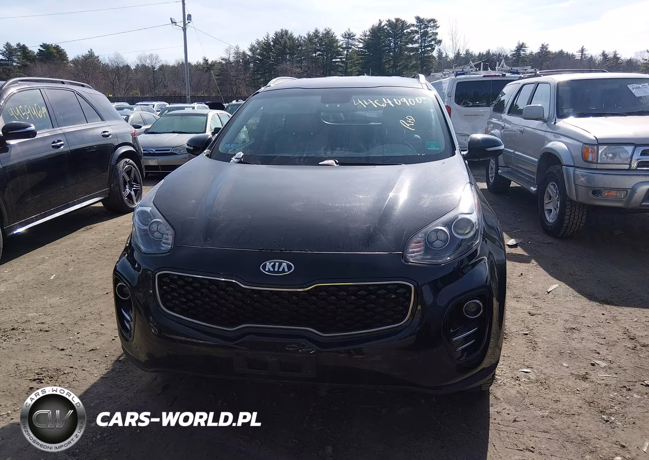 2019 Kia Sportage Ex VIN:KNDPNCAC0K7625647 - 12