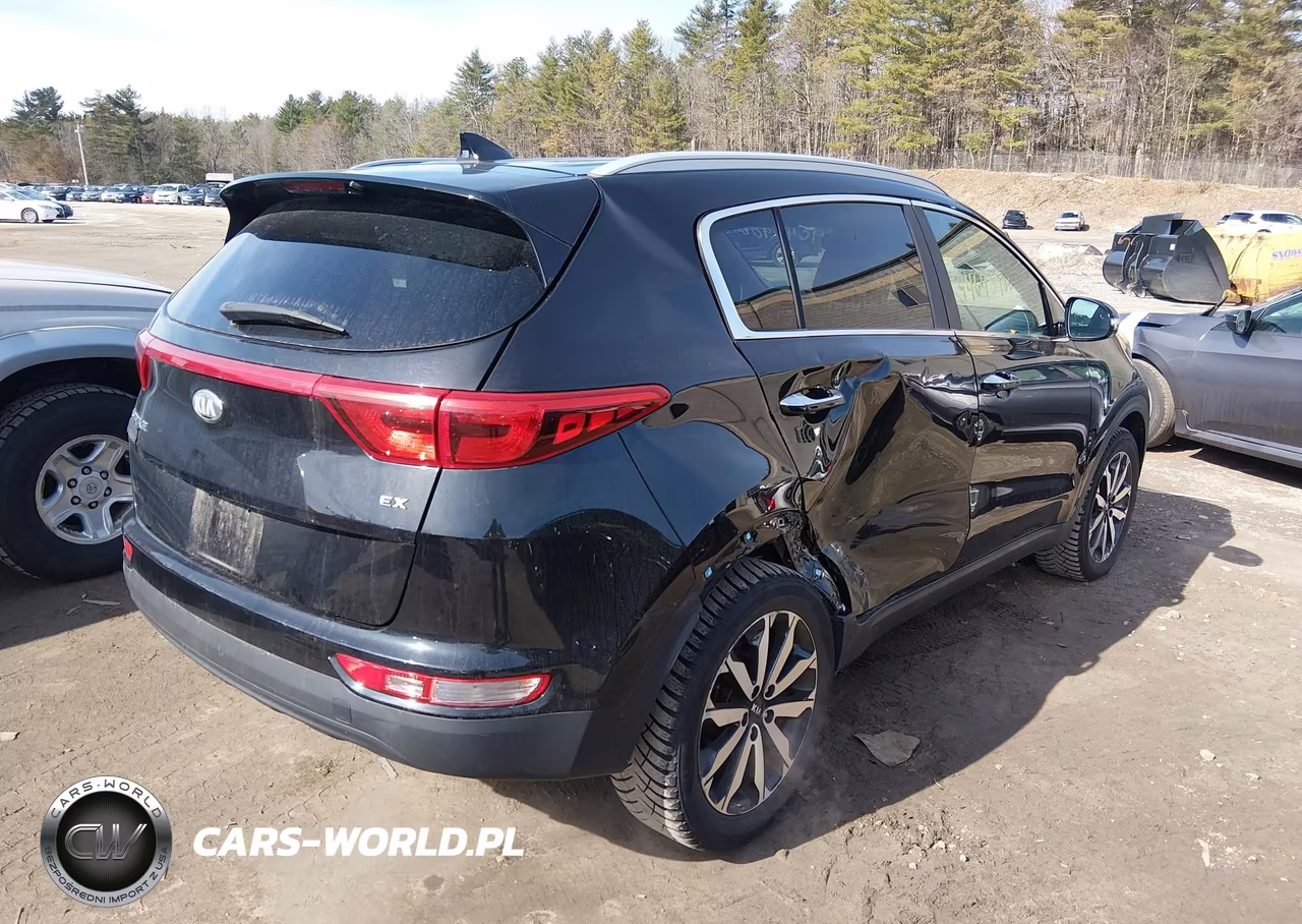 2019 Kia Sportage Ex VIN:KNDPNCAC0K7625647 - 4