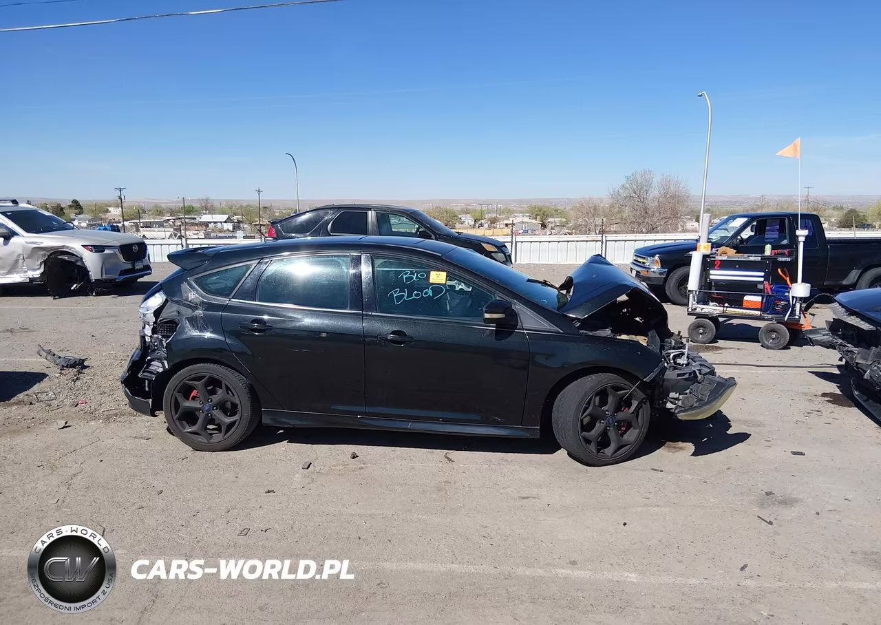 2014 Ford Focus St VIN:1FADP3L92EL243782 - 13