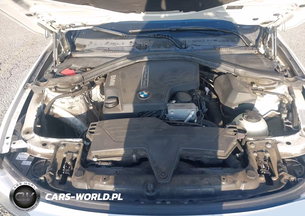 2014 BMW 428I VIN:WBA3N7C50EF719149 - 10