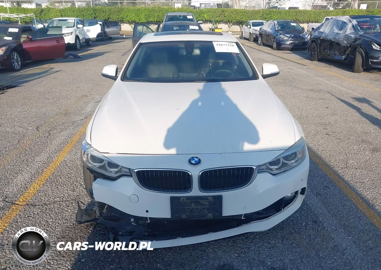 2014 BMW 428I VIN:WBA3N7C50EF719149 - 12