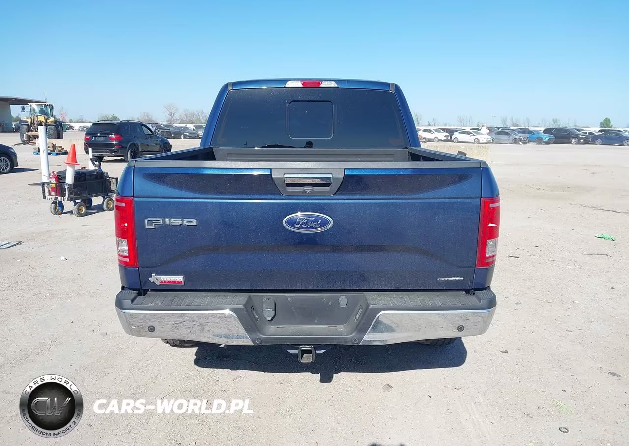 2015 Ford F-150 Xlt VIN:1FTEW1CF6FKE54387 - 16