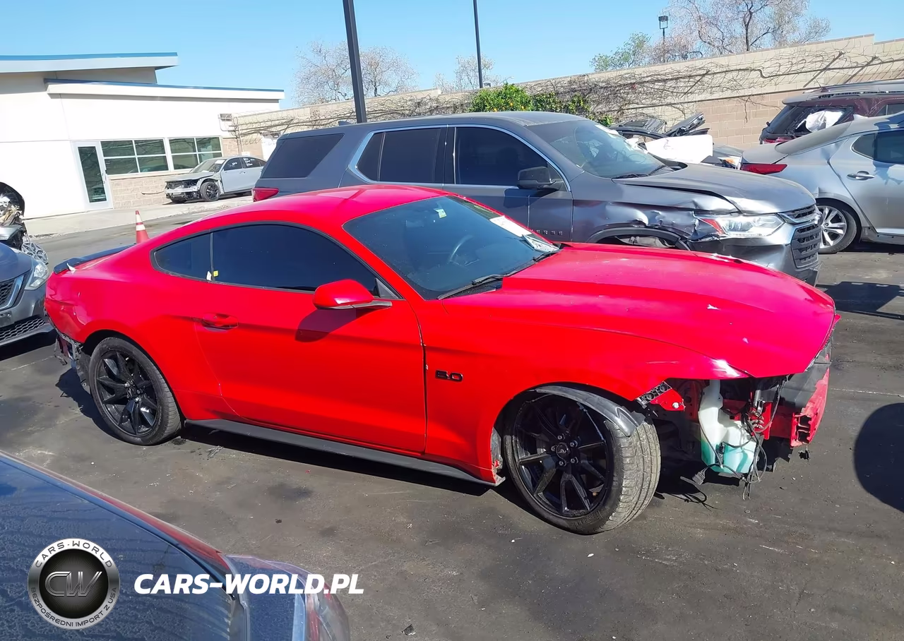 2017 Ford Mustang Gt-Gt Premium VIN:1FA6P8CF3H5262135 - 14
