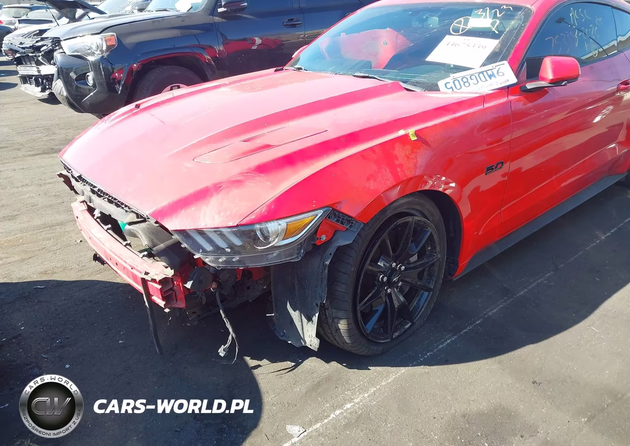 2017 Ford Mustang Gt-Gt Premium VIN:1FA6P8CF3H5262135 - 18