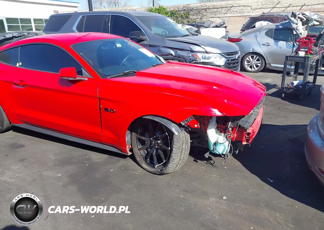 2017 Ford Mustang Gt-Gt Premium VIN:1FA6P8CF3H5262135 - 19