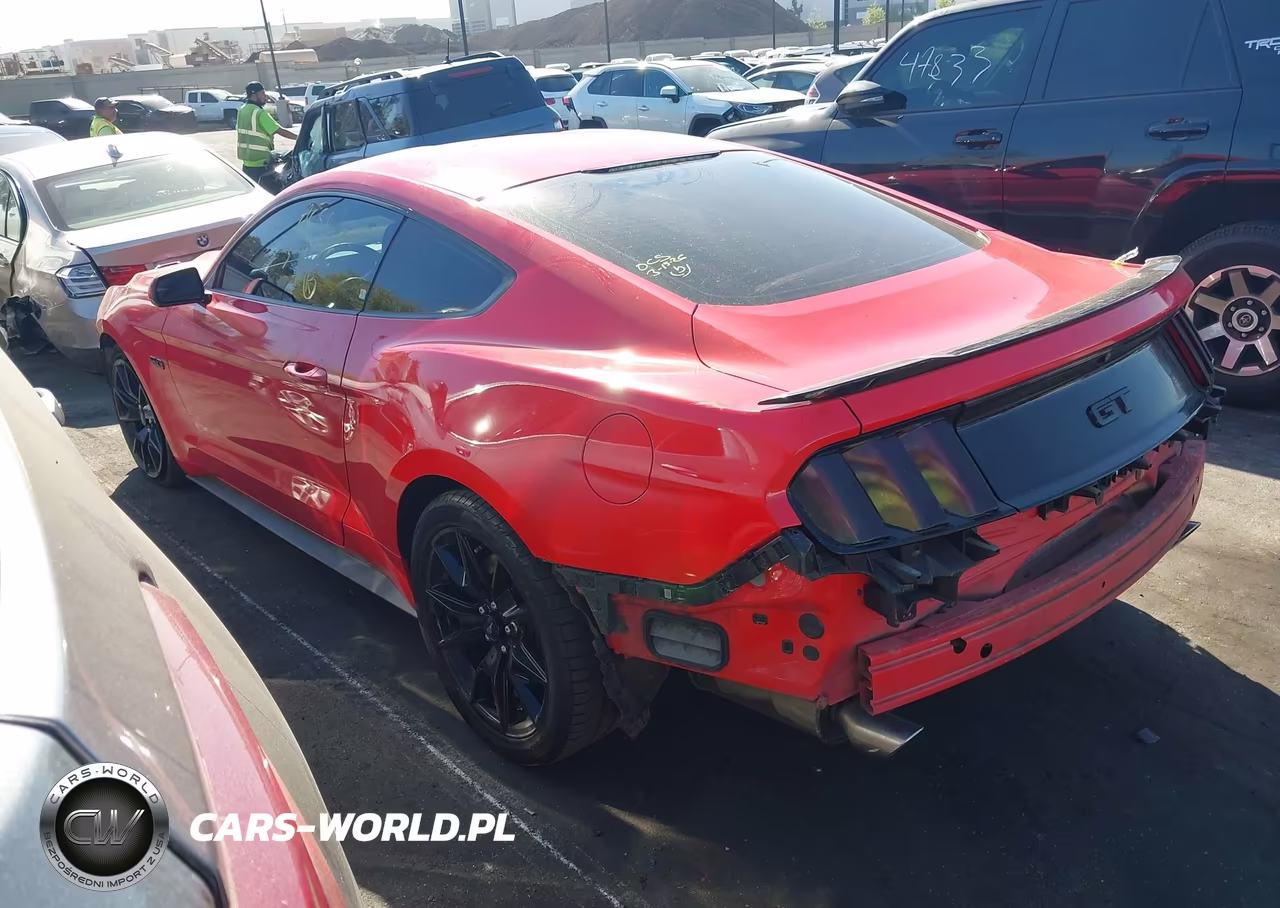 2017 Ford Mustang Gt-Gt Premium VIN:1FA6P8CF3H5262135 - 3