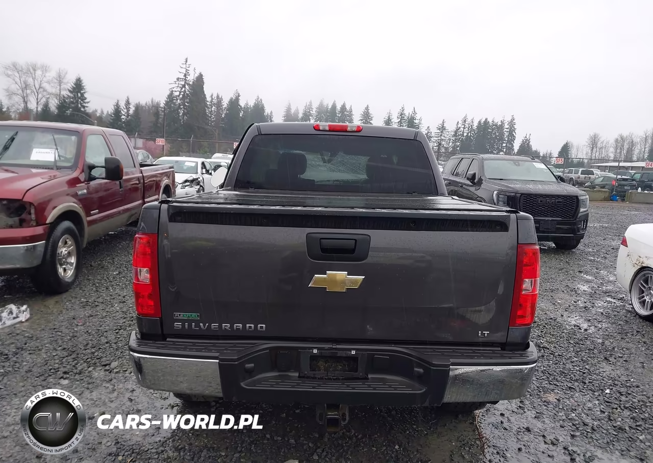 2010 Chevrolet Silverado 1500 Lt VIN:3GCRKSE39AG140822 - 17