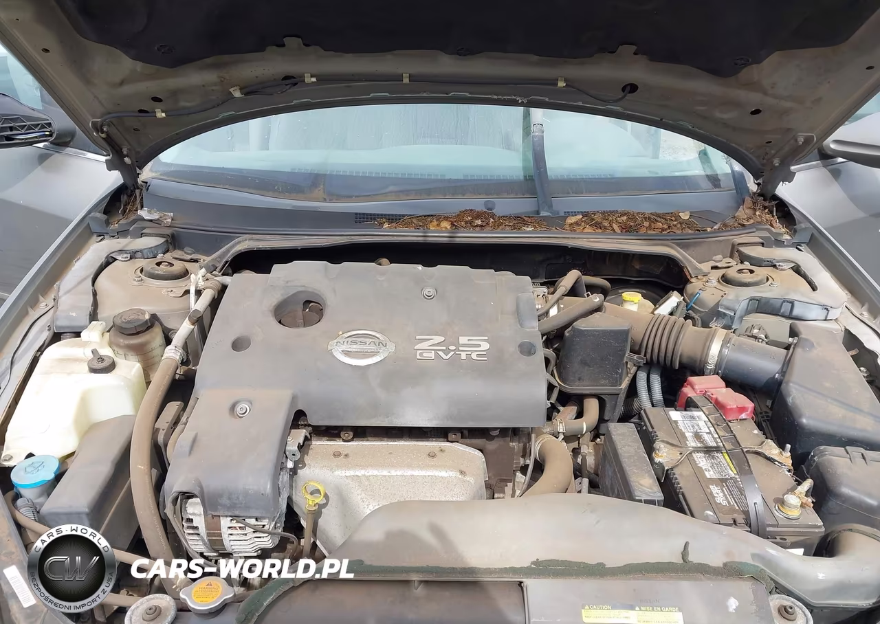 2005 Nissan Altima 2.5 S VIN:1N4AL11D65C383828 - 10