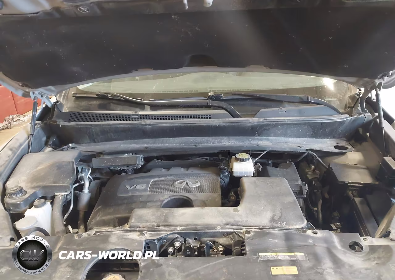2019 Infiniti Qx60 Pure VIN:5N1DL0MM1KC527838 - 10