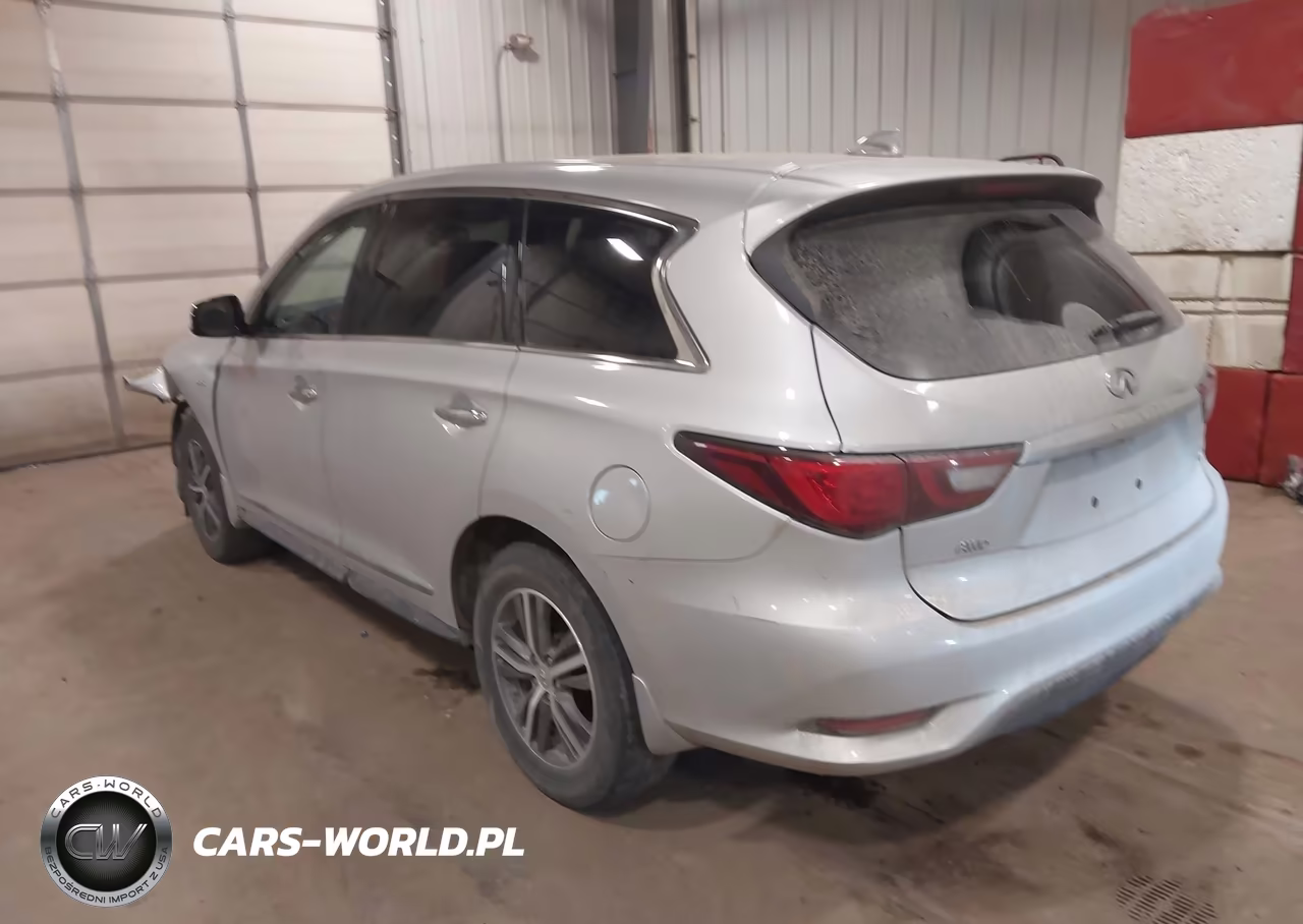 2019 Infiniti Qx60 Pure VIN:5N1DL0MM1KC527838 - 3