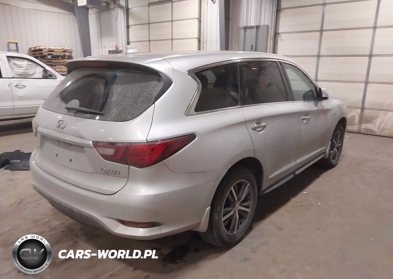 2019 Infiniti Qx60 Pure VIN:5N1DL0MM1KC527838 - 4