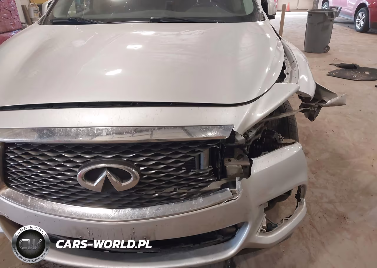 2019 Infiniti Qx60 Pure VIN:5N1DL0MM1KC527838 - 6