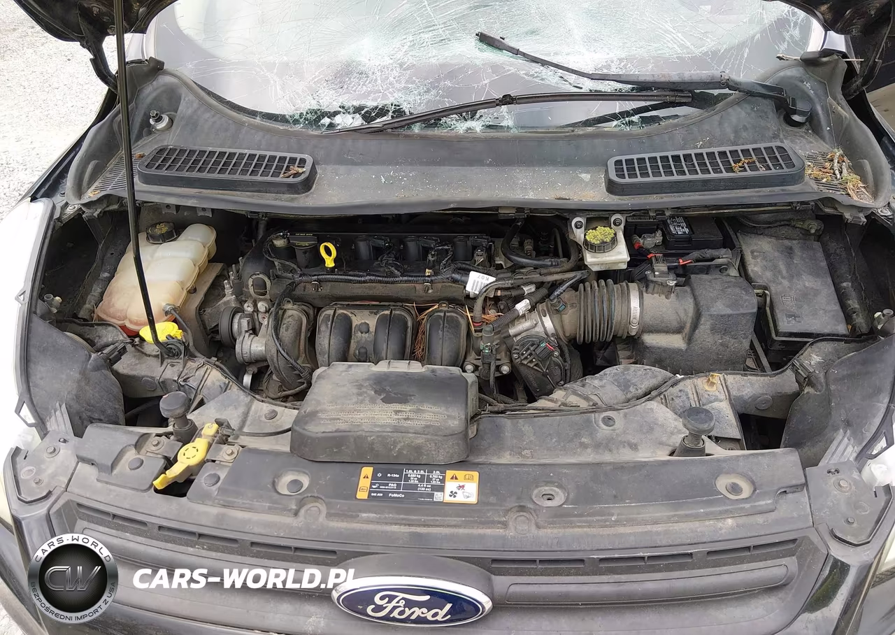 2014 Ford Escape S VIN:1FMCU0F75EUD49303 - 10