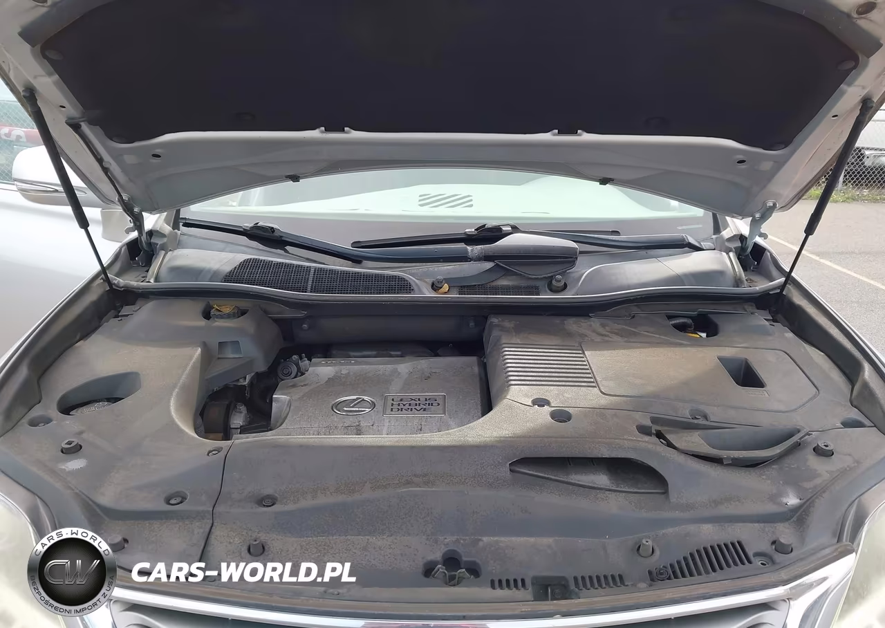 2013 Lexus Rx 450H VIN:JTJZB1BA7D2008147 - 10
