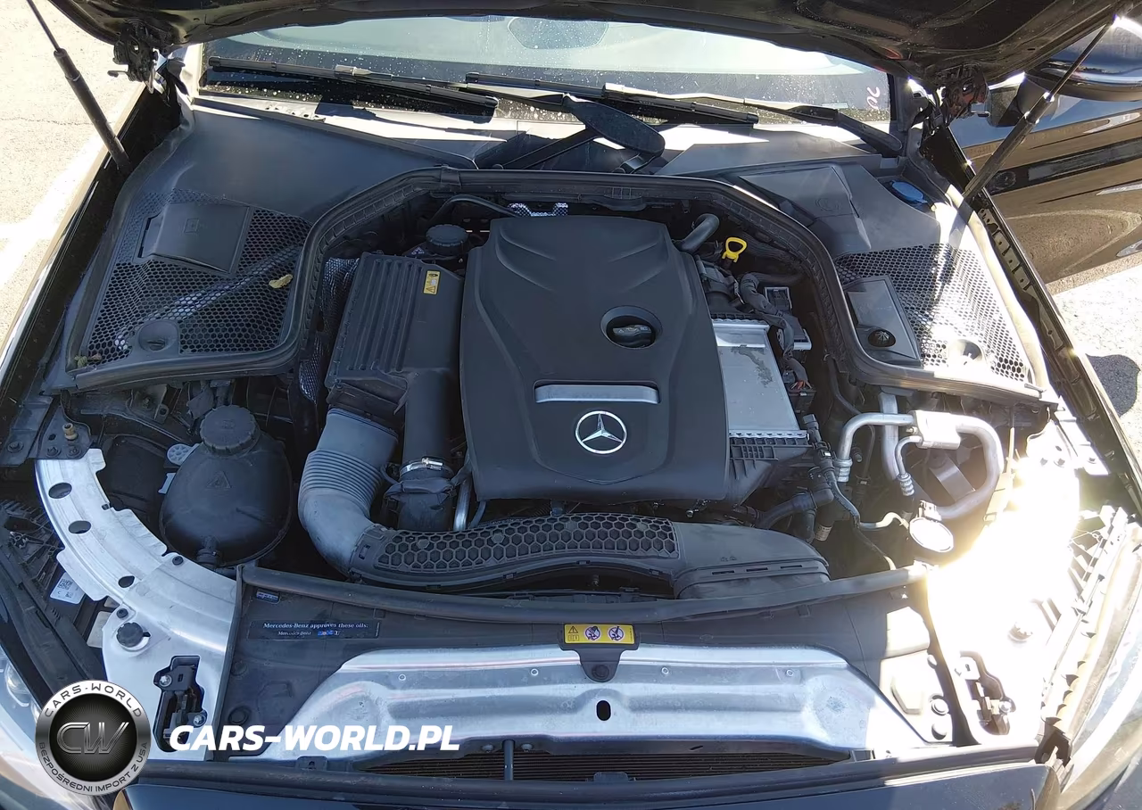 2017 Mercedes-Benz C 300 VIN:WDDWJ4JBXHF443950 - 10