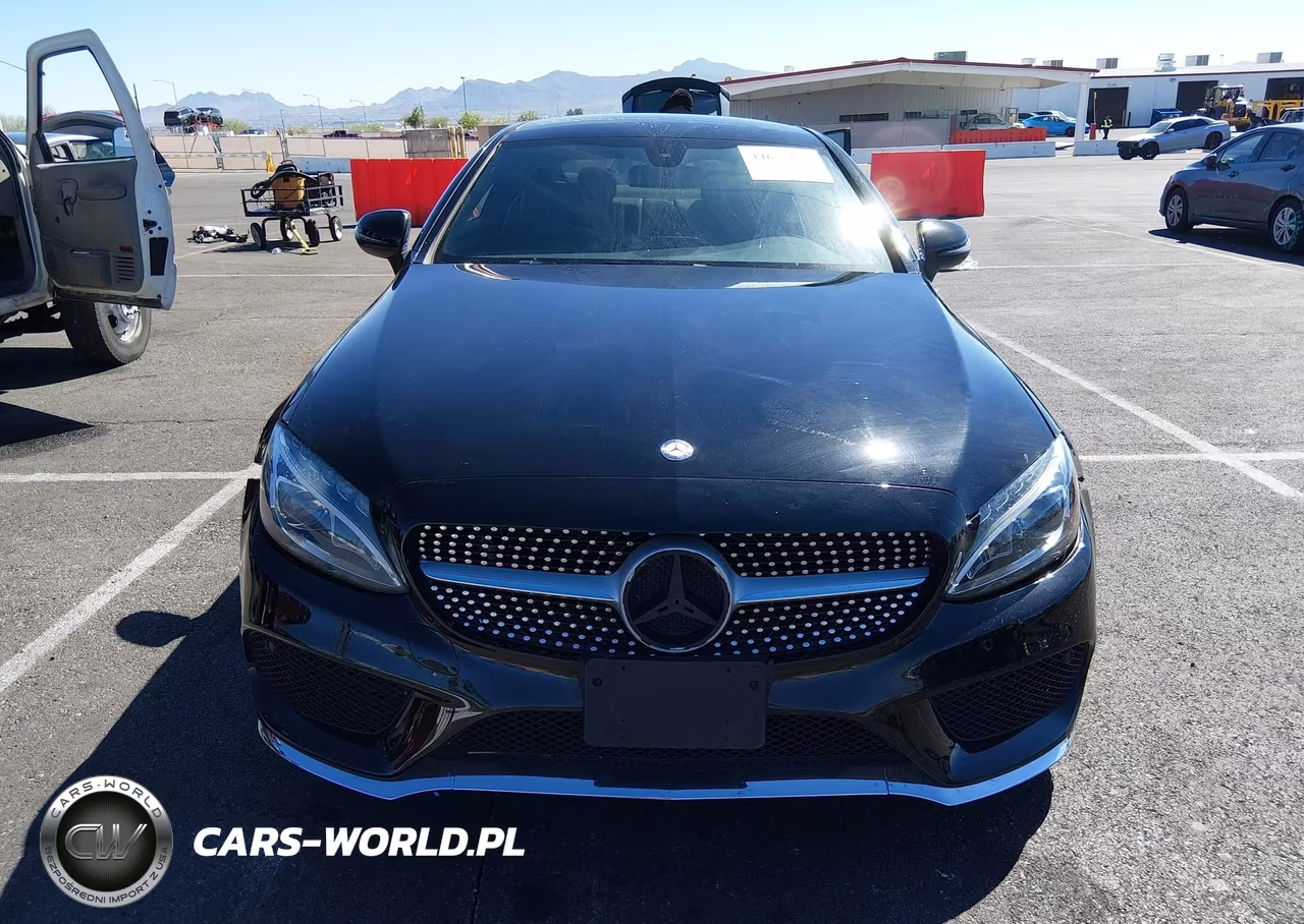 2017 Mercedes-Benz C 300 VIN:WDDWJ4JBXHF443950 - 12