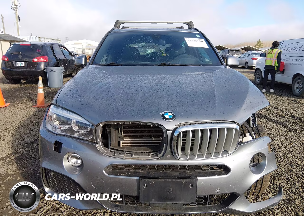 2017 BMW X5 Edrive xDrive40E Iperformance VIN:5UXKT0C32H0V98009 - 13