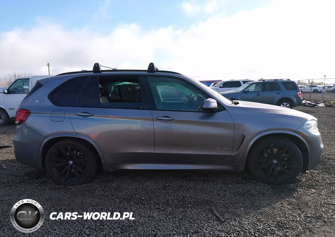 2017 BMW X5 Edrive xDrive40E Iperformance VIN:5UXKT0C32H0V98009 - 14