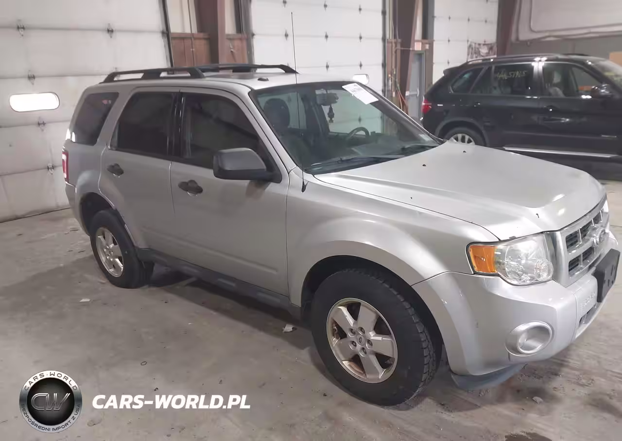 2010 Ford Escape Xlt