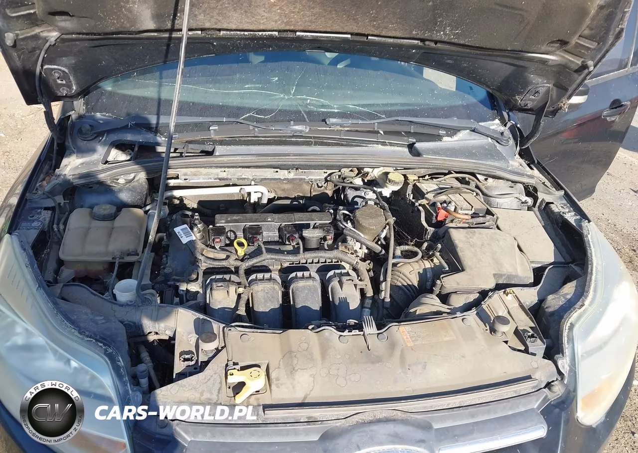 2014 Ford Focus Se VIN:1FADP3K29EL324072 - 10