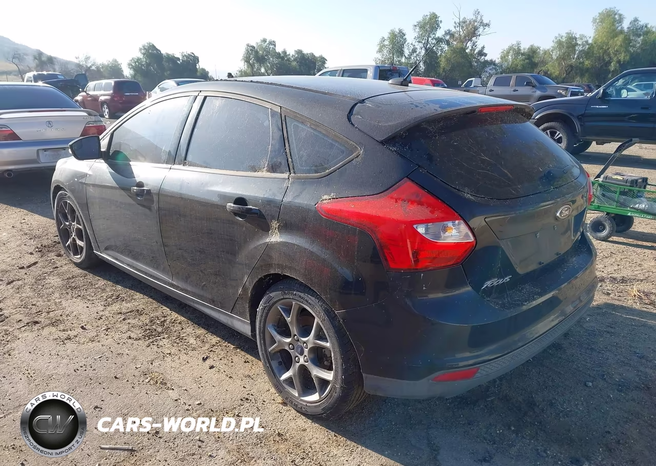 2014 Ford Focus Se VIN:1FADP3K29EL324072 - 3
