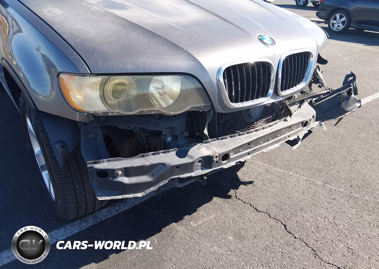 2003 BMW X5 3.0I VIN:5UXFA53573LW26674 - 6