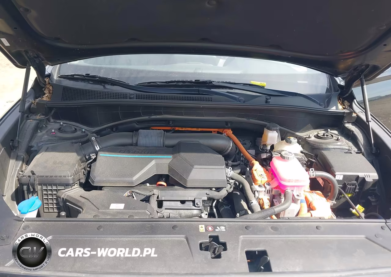 2021 Hyundai Santa Fe Hybrid Sel Premium VIN:KM8S3DA14MU012208 - 10